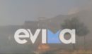 Φωτιά στην Κάρυστο - Μεγάλη κινητοποίηση της Πυροσβεστικής