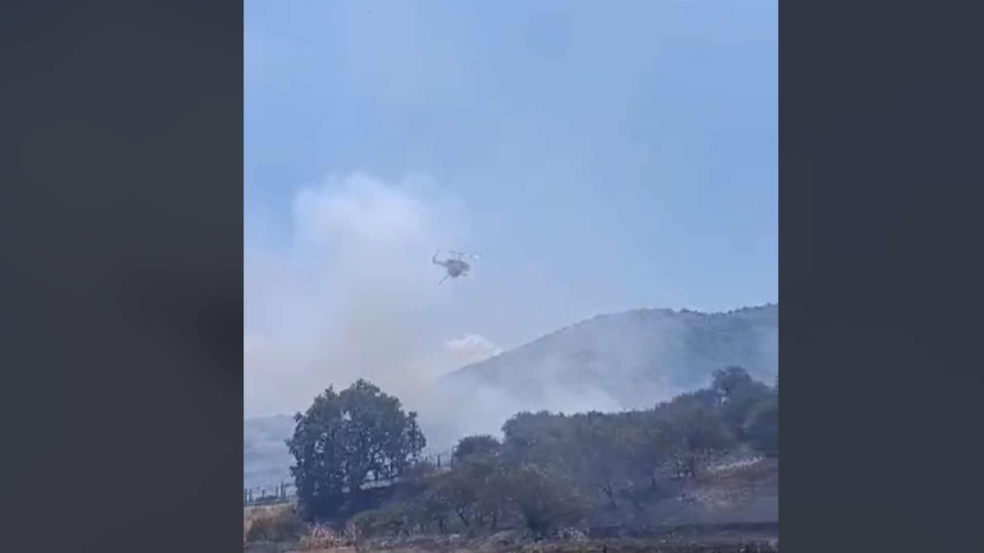 Λάρισα: Φωτιά στον Αργυρόμυλο, επιχειρούν και 4 εναέρια μέσα – Δείτε ΒΙΝΤΕΟ