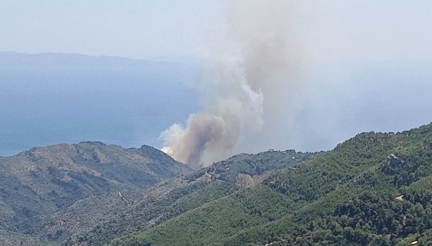 Φωτιά στο Πλωμάρι της Λέσβου – Μήνυμα από το 112 για ετοιμότητα