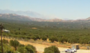 Ηράκλειο: Φωτιά στο Μελιδοχώρι - Ήχησε το 112