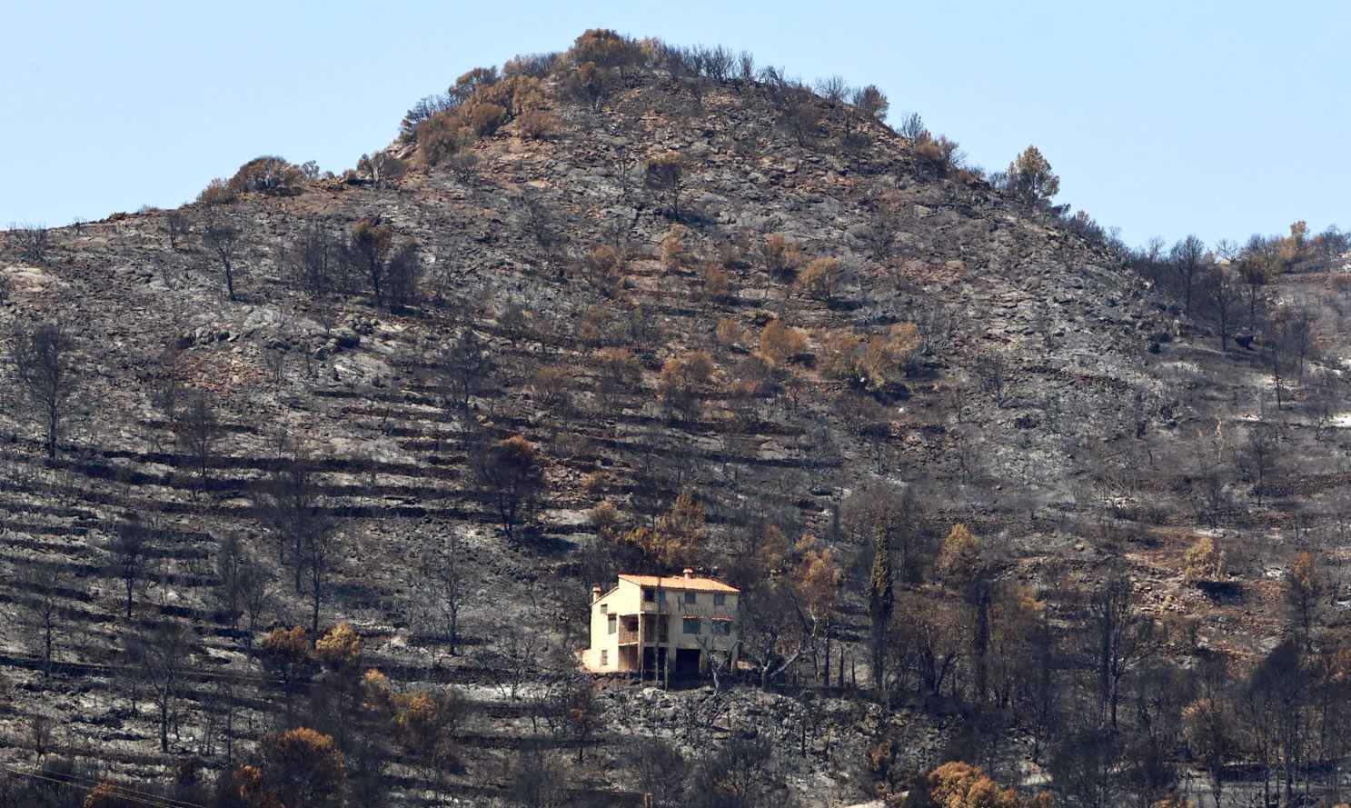 Ένα καμένο τοπίο κοντά στη Βίλα Βέγια, στην επαρχία Βαλένθια της Ισπανίας. Φωτογραφία: Damian Torres/AP