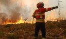 Πύρινος εφιάλτης στην Πορτογαλία: Στους 9 οι τραυματίες από τις μεγάλες δασικές πυρκαγιές - Κόκκινος συναγερμός σε 18 περιφέρειες