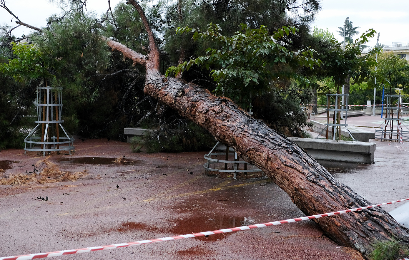Κακοκαιρία: 940 κλήσεις δέχθηκε η πυροσβεστική – Περισσότερες από 250 κοπές δέντρων στην Αττική