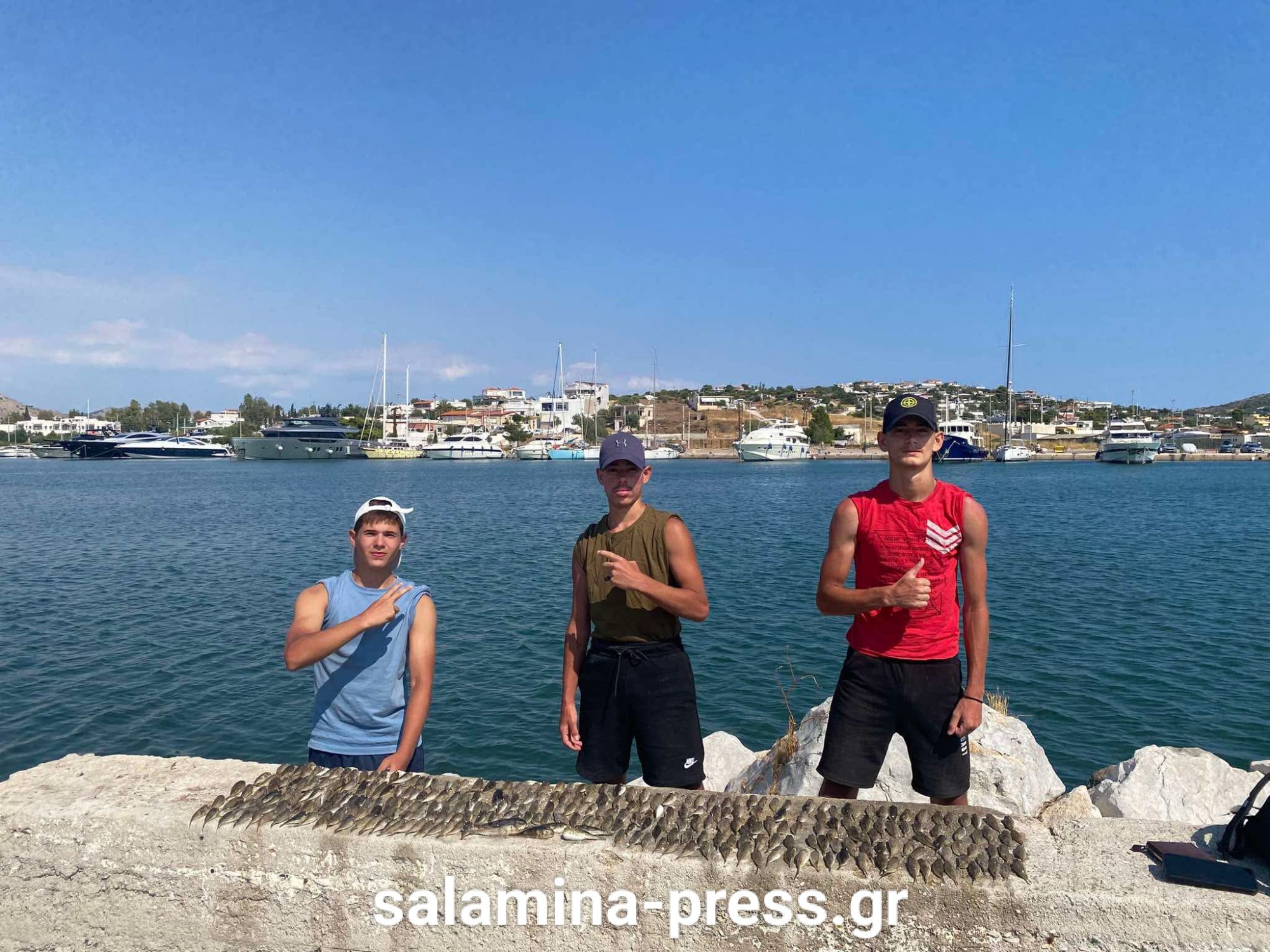 Νεαροί ψαράδες στη Σαλαμίνα έπιασαν με απλή πετονιά 312 λαγοκέφαλους – Δείτε βίντεο