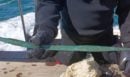 Αρχαιολογικός θησαυρός στον βυθό: Δύτες εντόπισαν σπαθί της Εποχής του Χαλκού στο Ντέβον