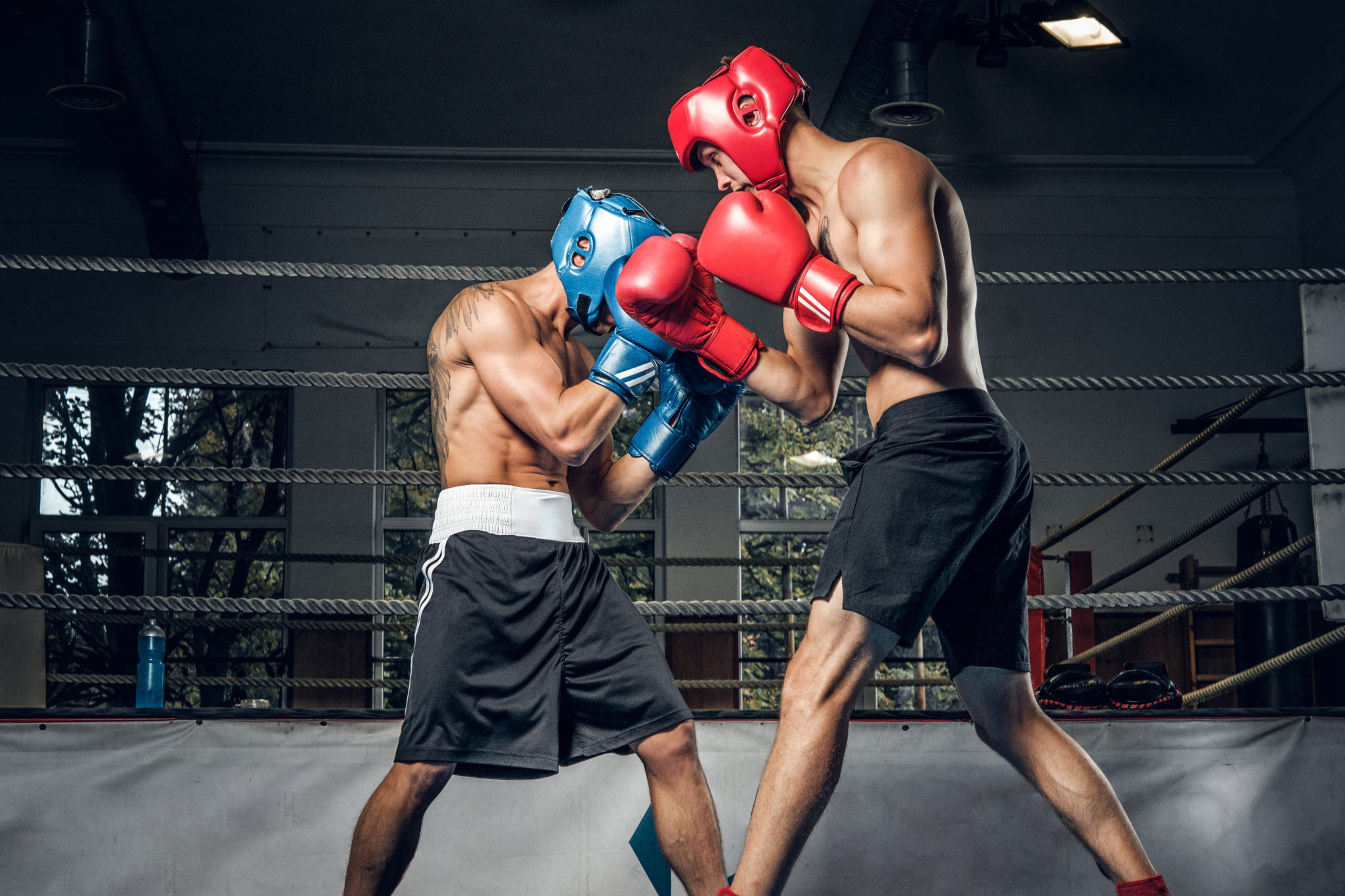 Two sportive men have a boxing competition on the ring