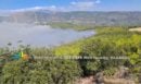 Φωτιά στη Βοιωτία: Δραματική η κατάσταση στον Άγιο Βασίλειο - Σε ετοιμότητα δύο πλοία για απομάκρυνση κατοίκων