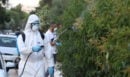 Ιός του Δυτικού Νείλου: Νέα κρούσματα σε 13 δήμους – Συνεχίζονται οι ψεκασμοί, αναμένεται αποκλιμάκωση τις επόμενες εβδομάδες 