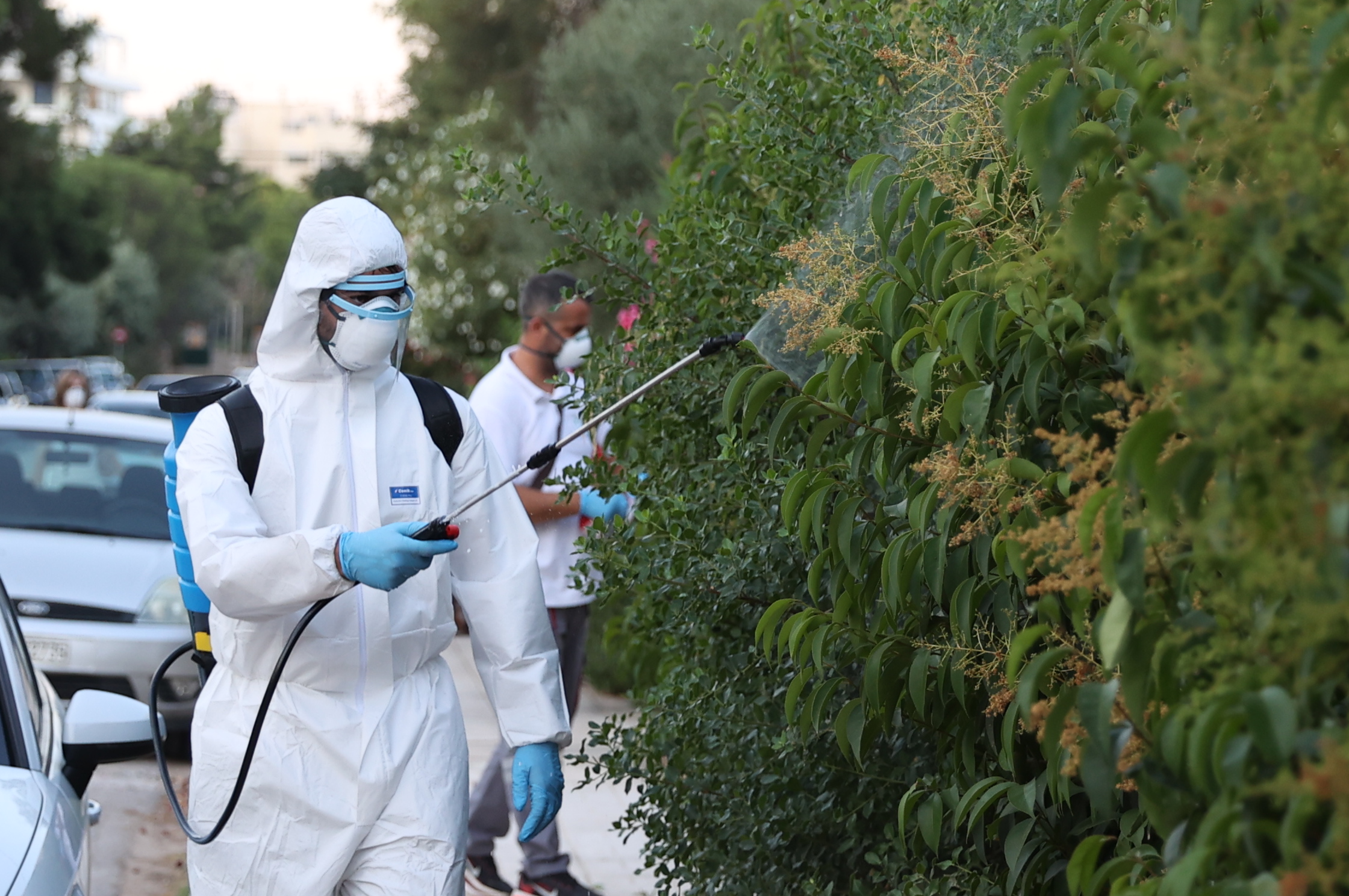Ιός του Δυτικού Νείλου: Νέα κρούσματα σε 13 δήμους – Συνεχίζονται οι ψεκασμοί, αναμένεται αποκλιμάκωση τις επόμενες εβδομάδες 