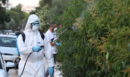 Ιός Δυτικού Νείλου: «Καλπάζουν» τα κρούσματα - Τι λέει ο καθηγητής επιδημιολογίας Γκίκας Μαγιορκίνης