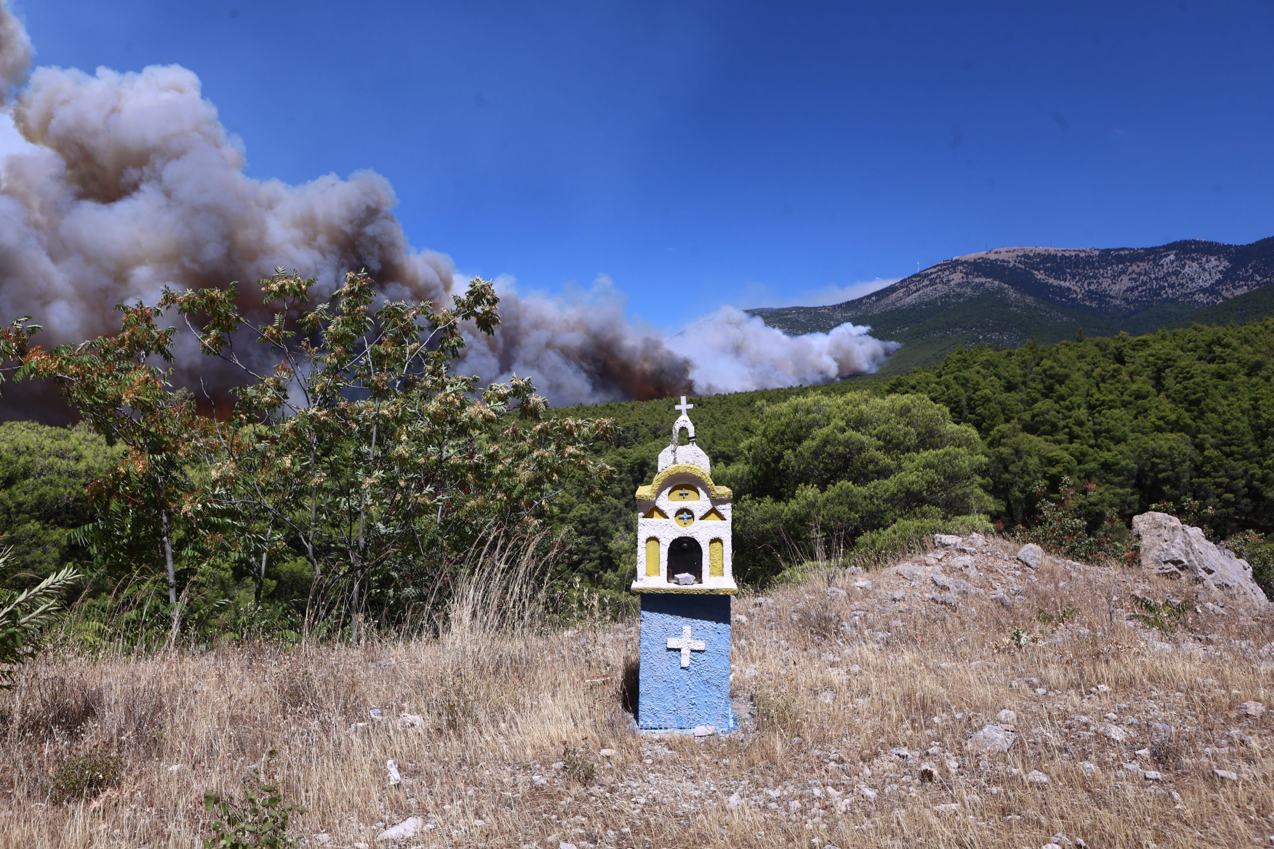 ΦΩΤΙΑ ΣΤΗΝ ΨΑΘΑ ΒΙΛΙΩΝ