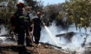 Ο Δήμαρχος Στυλίδας ο ένας εκ των δύο συλληφθέντων για τη φωτιά στη Βοιωτία