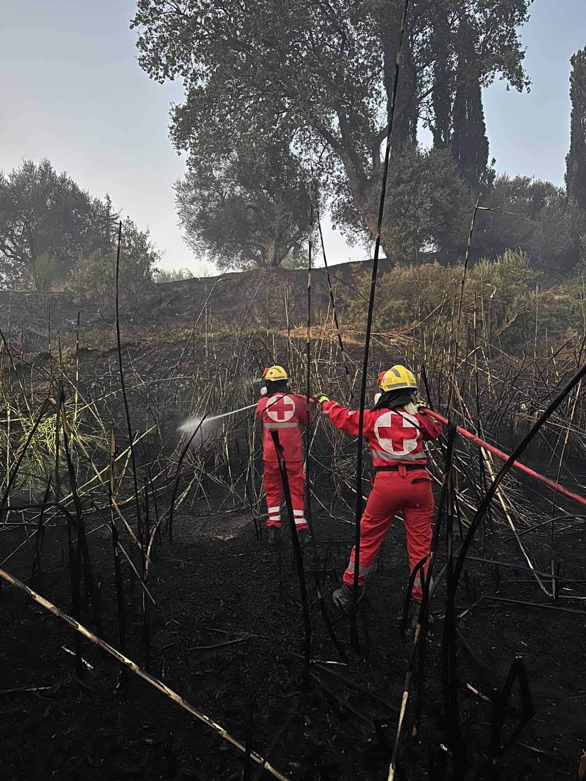 ΕΕΣ