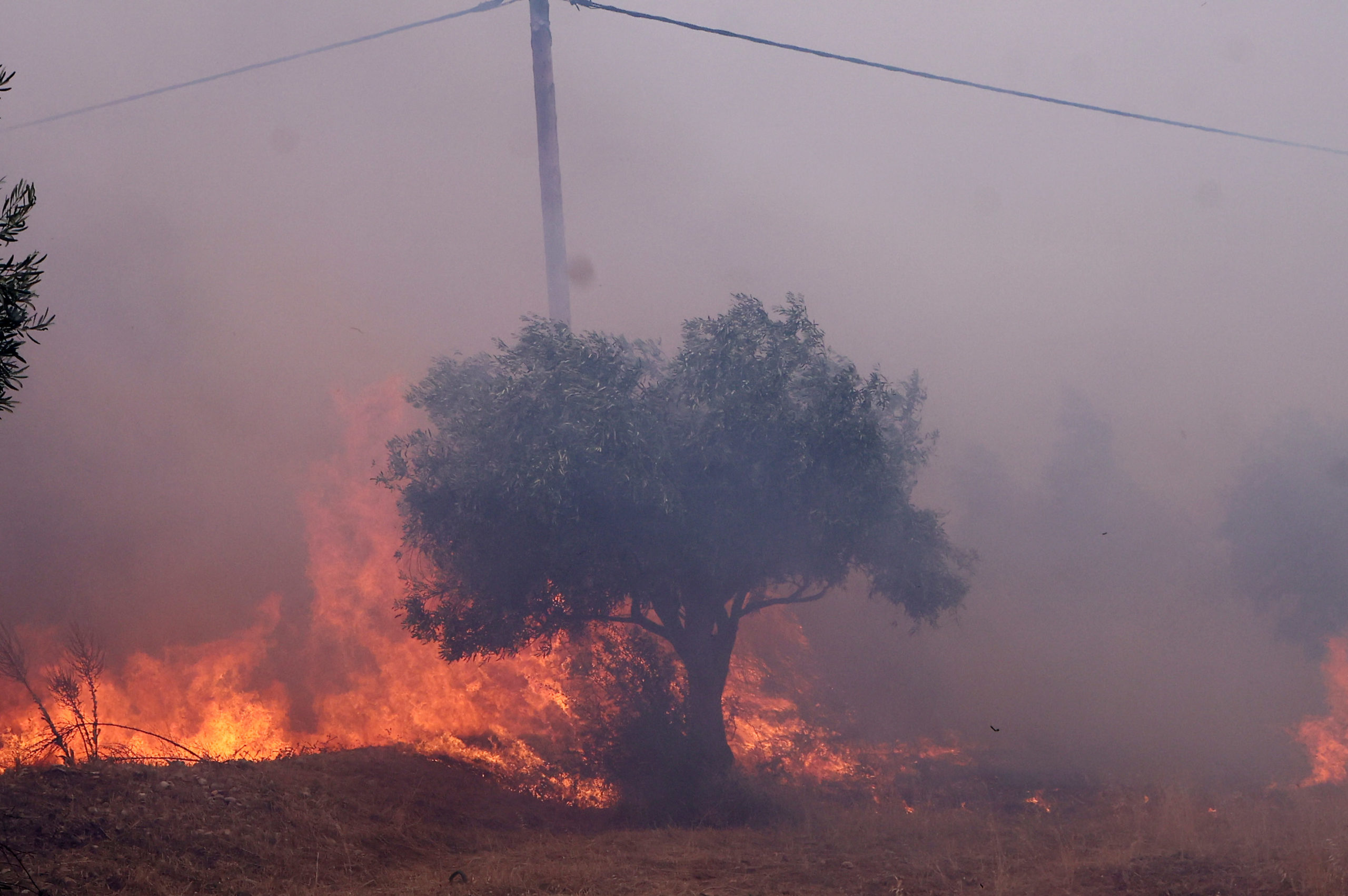 ΦΩΤΙΑ ΣΤΗ ΒΕΝΙΖΑ ΝΕΓΑΡΩΝ