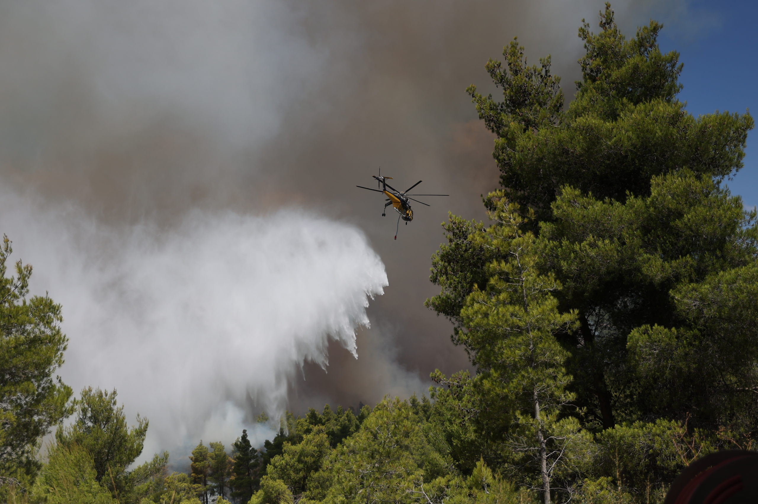 Καβάλα: Συνελήφθη 80χρονος για εμπρησμό από πρόθεση