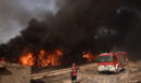 Η στιγμή που ρεπόρτερ σώζει μια χελώνα στη φωτιά στον Κουβαρά - Συγκινητικές εικόνες από το πύρινο μέτωπο