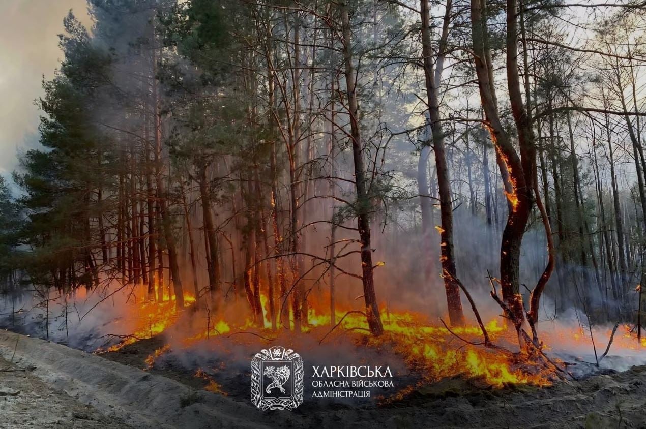 Φωτιά μαίνεται σε δασική έκταση στην περιφέρεια Χαρκόβου. Φωτογραφία: Περιφερειακή Στρατιωτική Διοίκηση Χαρκόβου