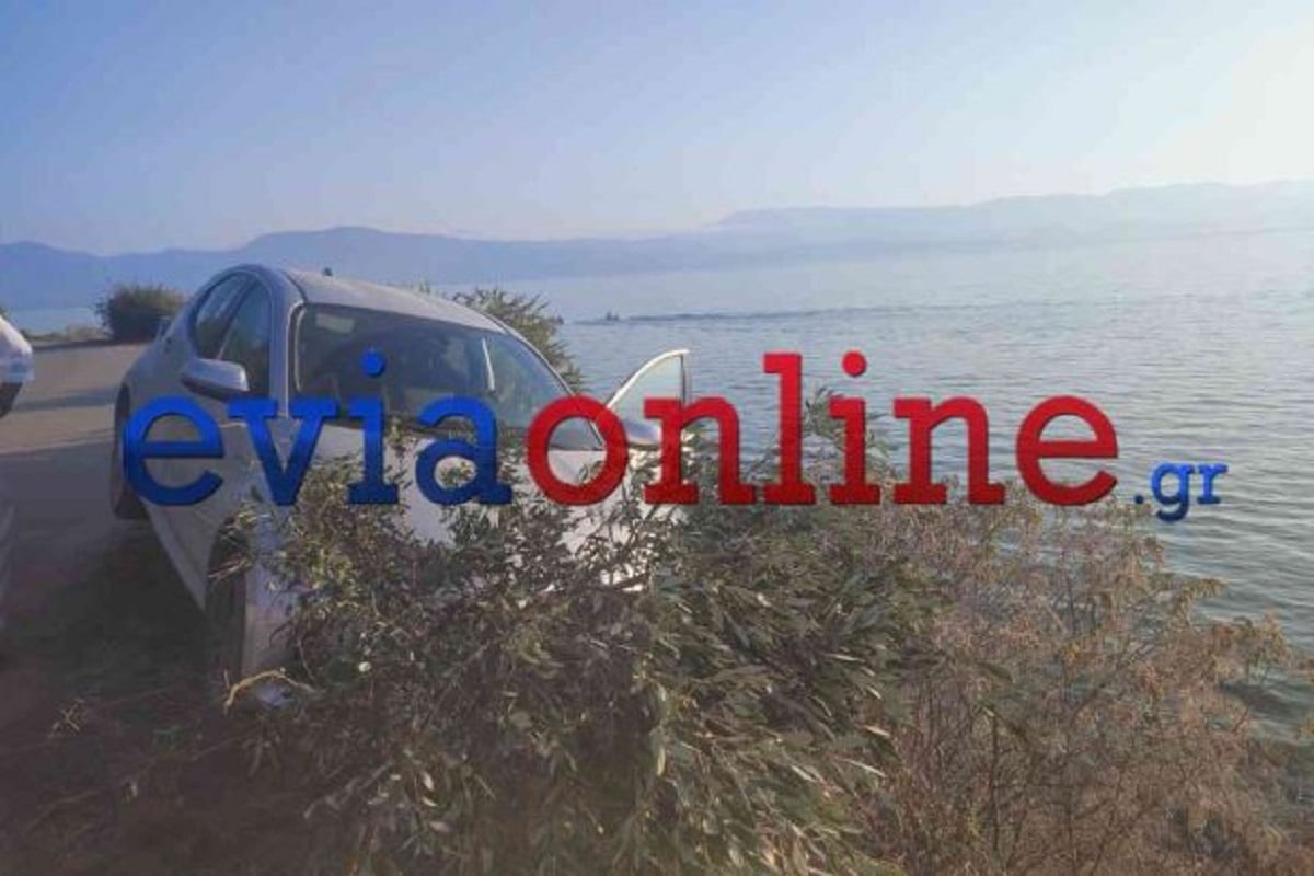 Βίντεο ντοκουμέντο: Η στιγμή της διάσωσης του 22χρονου οδηγού που το αυτοκίνητό του κρεμόταν από γκρεμό 15 μέτρων στην Εύβοια
