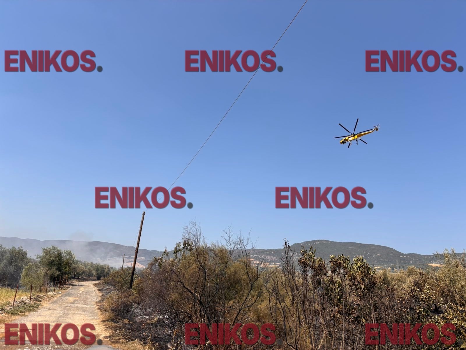 Φθιώτιδα: Χωρίς ενεργό μέτωπο η φωτιά στην Ελάτεια – Ισχυρές δυνάμεις παραμένουν στο σημείο – ΒΙΝΤΕΟ και ΦΩΤΟ αναγνώστη