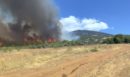 Συνελήφθη 44χρονος για εμπρησμό από πρόθεση για τη φωτιά στην Κεφαλονιά - Είχε καταδικαστεί και στο παρελθόν για συναφή υπόθεση