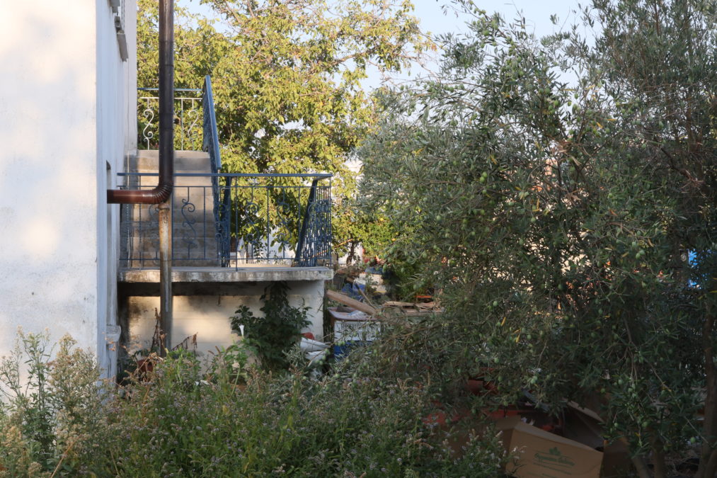 Γυναικοκτονία στη Ροδόπη