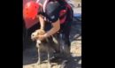 Ηλεία: Επιχείρηση διάσωσης σκύλου από λασπώδη νησίδα στο Φράγμα Πηνειού - Δείτε βίντεο