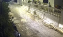 Κτηνωδία στην Κέρκυρα: Οδηγός πάτησε και σκότωσε σκύλο την ώρα που κοιμόταν - Προσοχή, σκληρές εικόνες