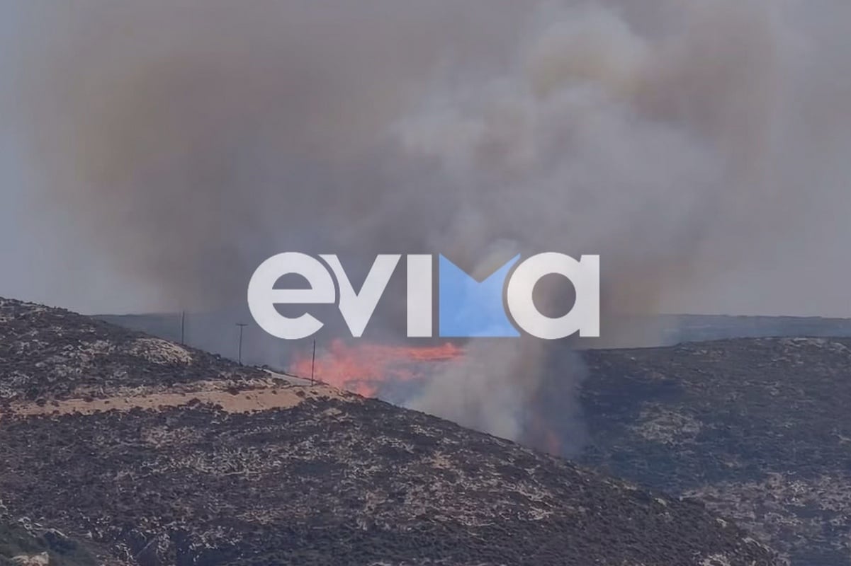 Σκύρος: Φωτιά κοντά στην παραλία Κολυμπάδα – Επιχειρούν και εναέρια μέσα