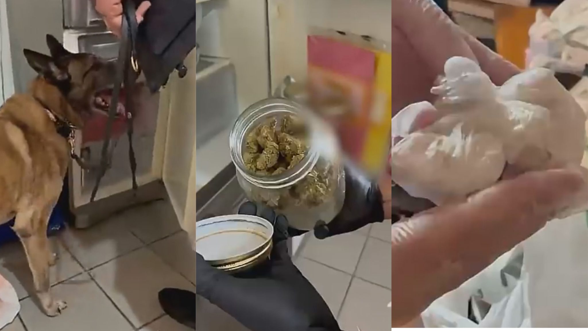 Αττική, Ναρκωτικά, κύκλωμα