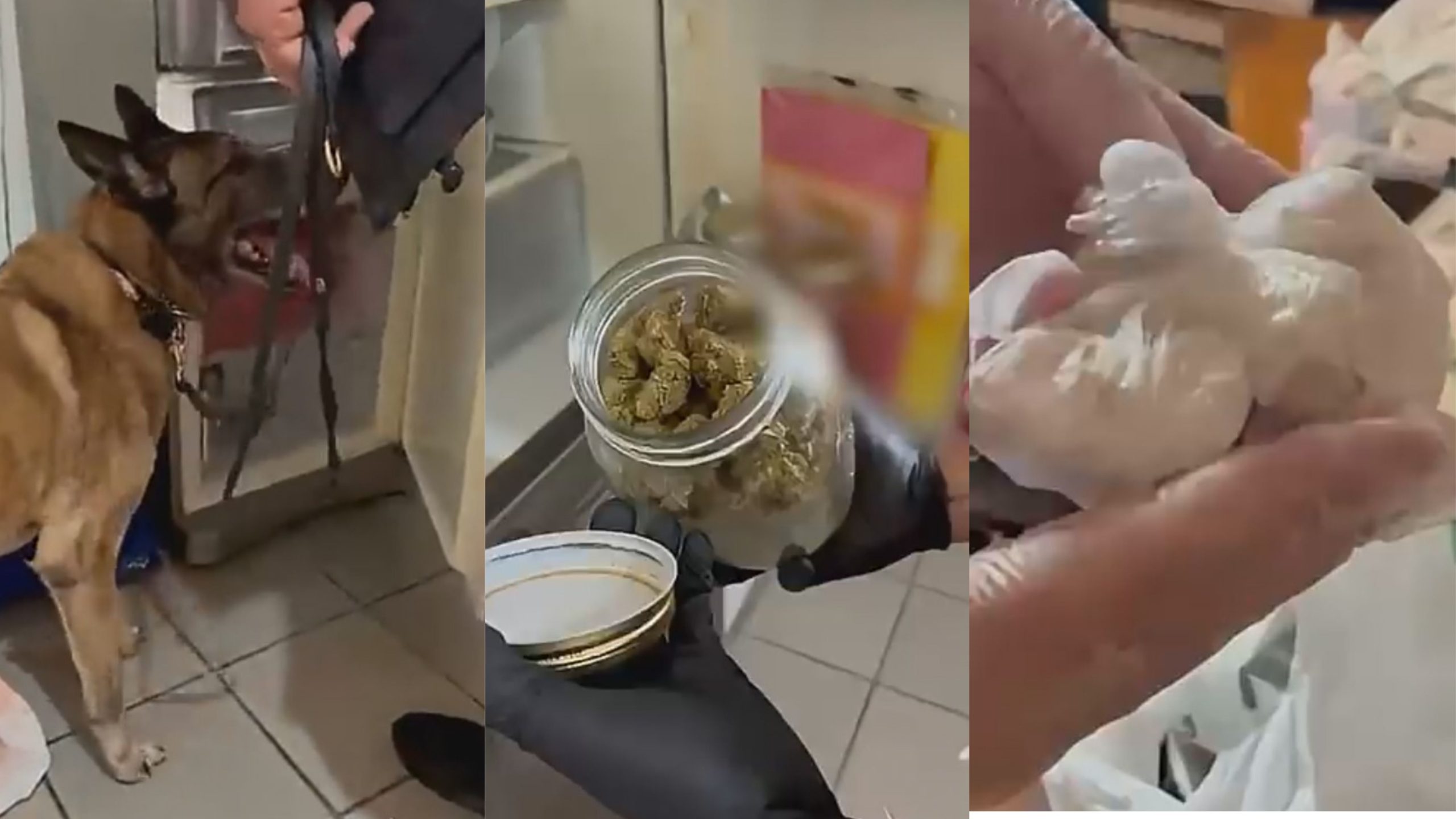 Κύκλωμα διακίνησης ναρκωτικών στην Αττική: Ο ρόλος-«κλειδί» του ψυχολόγου, το παρατσούκλι «γιατρός» και το πελατολόγιο – Αποκαλυπτικοί διάλογοι