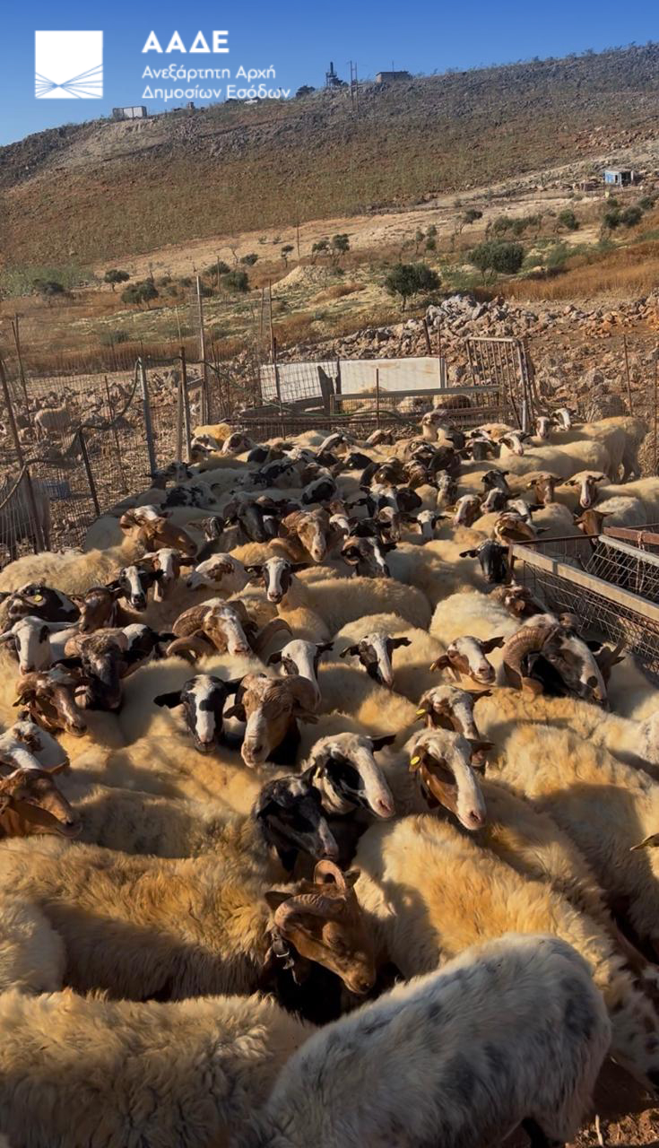 ΑΑΔΕ, Έλεγχοι, Κρήτη, Κτηνοτρόφοι, αγροτικές επιδοτήσεις
