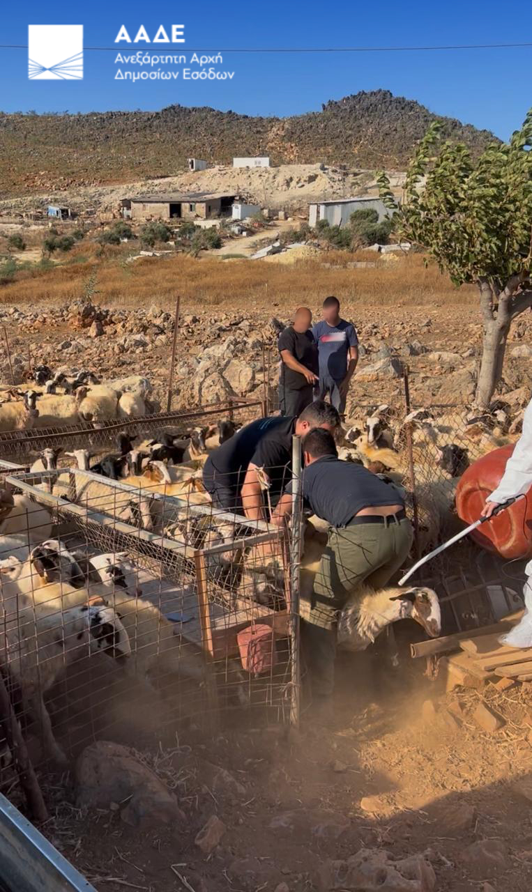 ΑΑΔΕ, Έλεγχοι, Κρήτη, Κτηνοτρόφοι, αγροτικές επιδοτήσεις