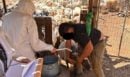 ΑΑΔΕ: Πρώτος μαζικός έλεγχος στην Κρήτη για τις αγροτικές επιδοτήσεις - Προσήλθαν μόνο 75 από τους 195 κτηνοτρόφους