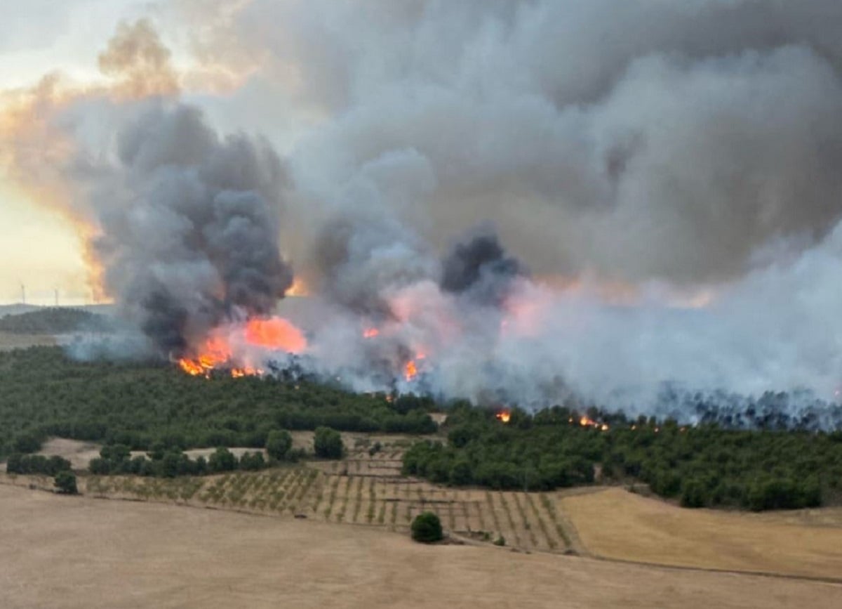 Ισπανία: Πύρινη κόλαση στην Ανδαλουσία – 25.000 εκτάρια στις φλόγες, εκατοντάδες άνθρωποι εγκατέλειψαν τα σπίτια τους