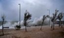 Θυελλώδεις άνεμοι «σαρώνουν» την Εύβοια - Ξεριζώθηκαν μεγάλα δέντρα σε παραλία στην Κάρυστο - ΦΩΤΟ