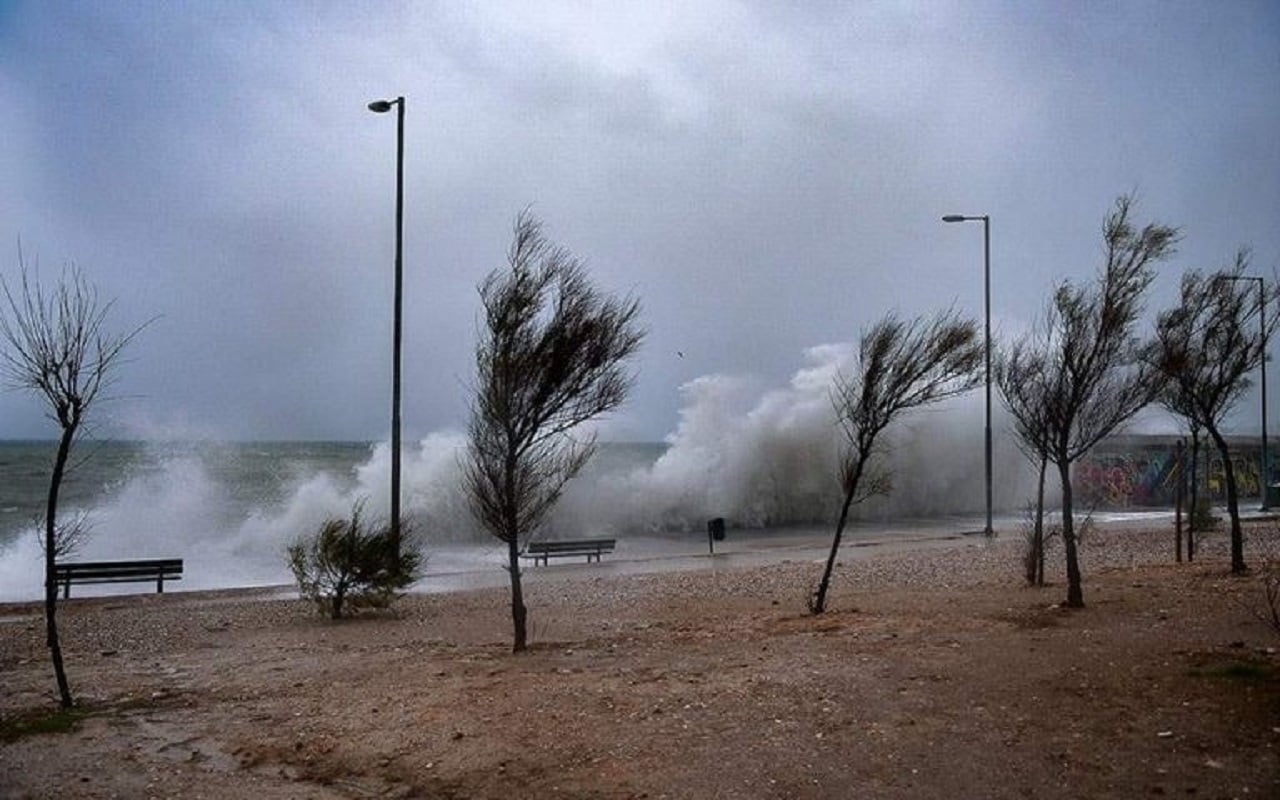 Θυελλώδεις άνεμοι «σαρώνουν» την Εύβοια – Ξεριζώθηκαν μεγάλα δέντρα σε παραλία στην Κάρυστο – ΦΩΤΟ