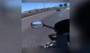 Ταυτοποιήθηκε η ηλικιωμένη οδηγούσε στο αντίθετο ρεύμα στην Αθηνών-Κορίνθου - Είχε λήξει το δίπλωμά της  από τις 28 Μαΐου 