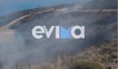 Φωτιά στην Κάρυστο - Επιχειρούν και εναέρια μέσα