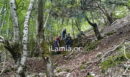 Ευρυτανία: Φωτογραφίες από την επιχείρηση διάσωσης δύο ανδρών που έπεσαν με αγροτικό σε γκρεμό 50 μέτρων