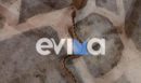 Στιγμές πανικού σε ταβέρνα στην Εύβοια: Φίδι «έκοβε βόλτες» κάτω από τα τραπέζια την ώρα που οι θαμώνες έτρωγαν - Δείτε βίντεο