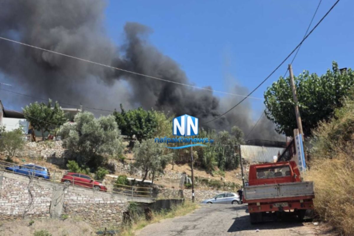 Φωκίδα: Φωτιά σε επιχείρηση στο Καστράκι – Μεγάλη κινητοποίηση της πυροσβεστικής – ΒΙΝΤΕΟ