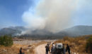 Πάνω από 7.000 στρέμματα η πληγείσα έκταση από τη φωτιά στην Αιγιάλεια - ΦΩΤΟ