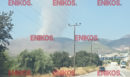 Φωτιά στη Στεφάνη Βοιωτίας - Καίει δασική έκταση