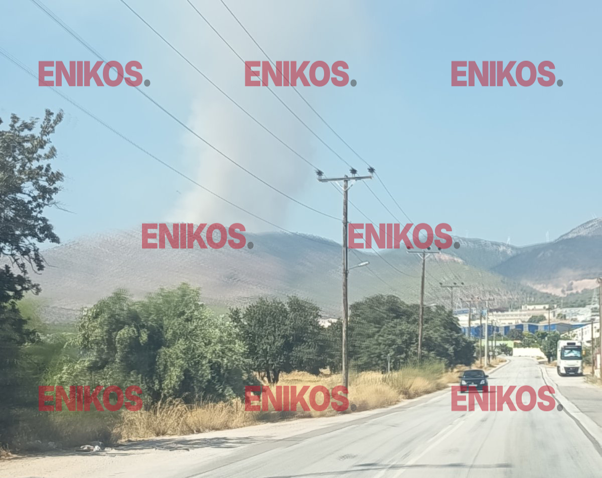 Φωτιά Στεφάνη Βοιωτίας