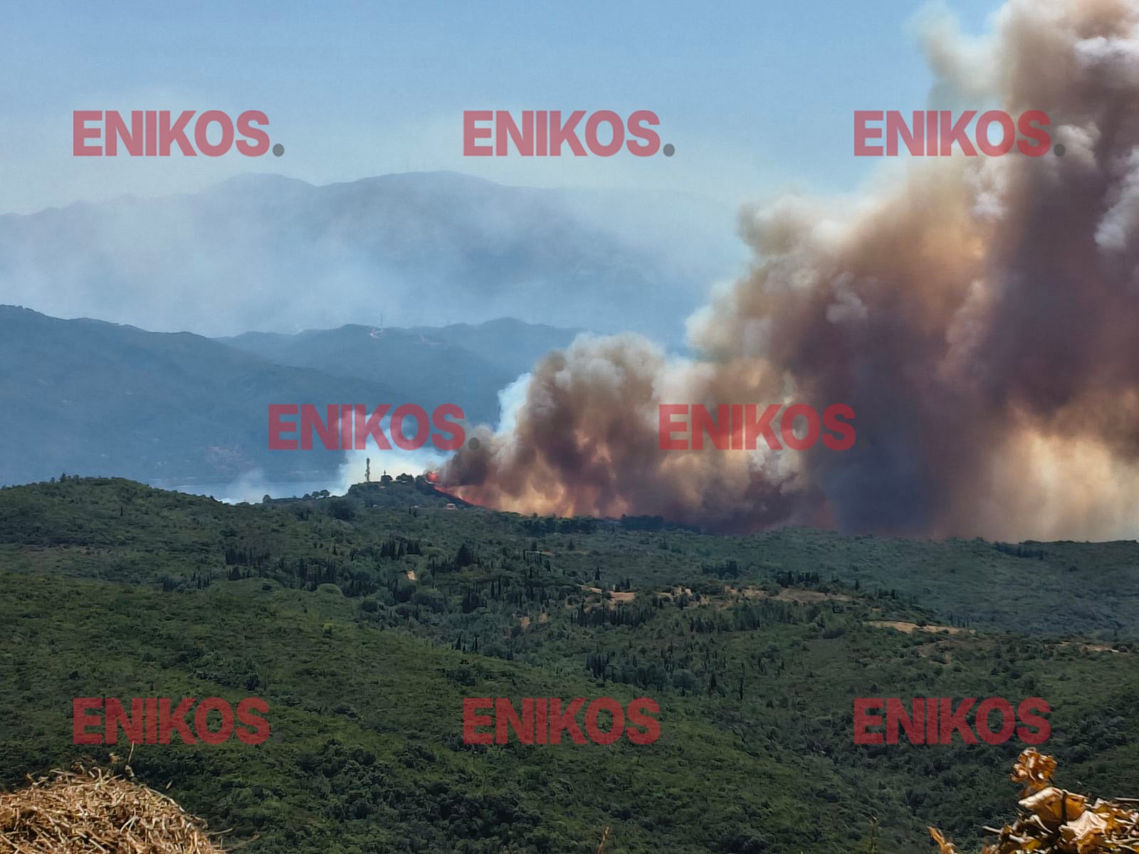 Φωτιά στο Σκάλωμα Φωκίδας: Ενισχύθηκαν οι δυνάμεις πυρόσβεσης – Ήχησε 112 για εκκένωση 4 περιοχών – ΒΙΝΤΕΟ αναγνώστη