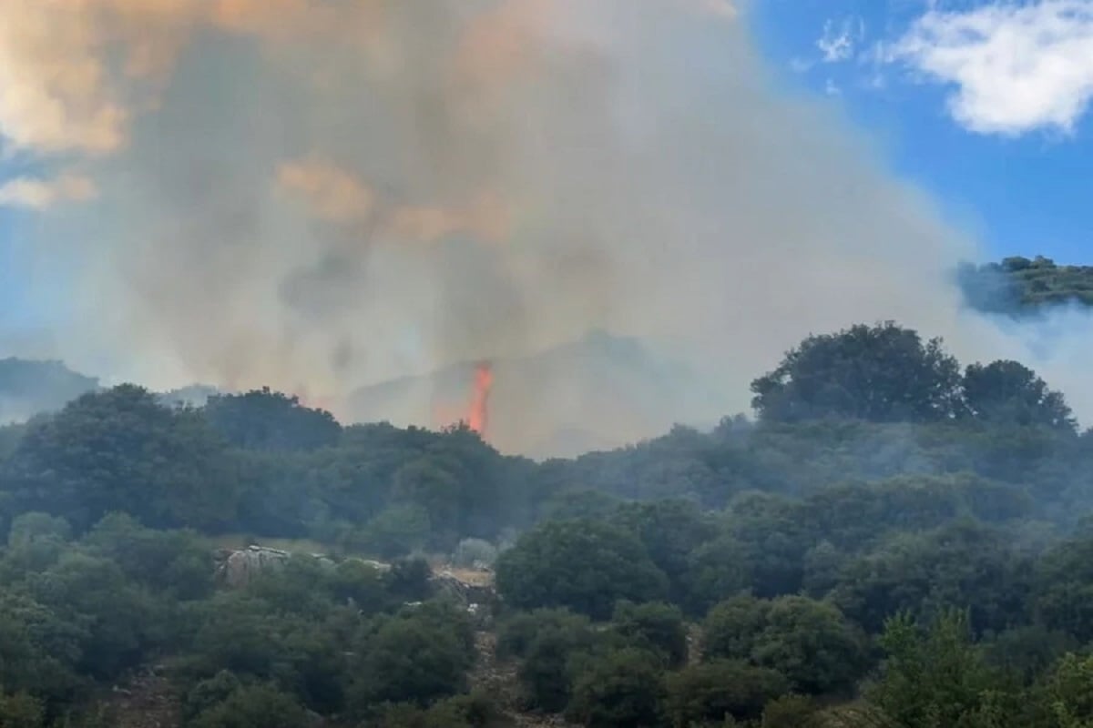 Φωτιά σε δασική έκταση στη Λαμπεία Ηλείας – ΒΙΝΤΕΟ