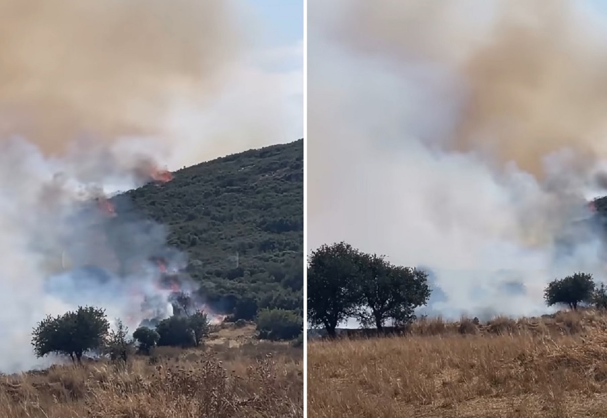 Φωτιά στο Στεφάνι Κορινθίας: Ενισχύθηκαν οι πυροσβεστικές δυνάμεις – «Δεν απειλούνται κατοικίες» λέει ο αντιδήμαρχος Πολιτικής Προστασίας