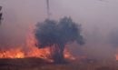 Πυρκαγιά στη Δυτική Αττική: Ήχησε το 112 – Εντολή εκκένωσης προς τα Μέγαρα