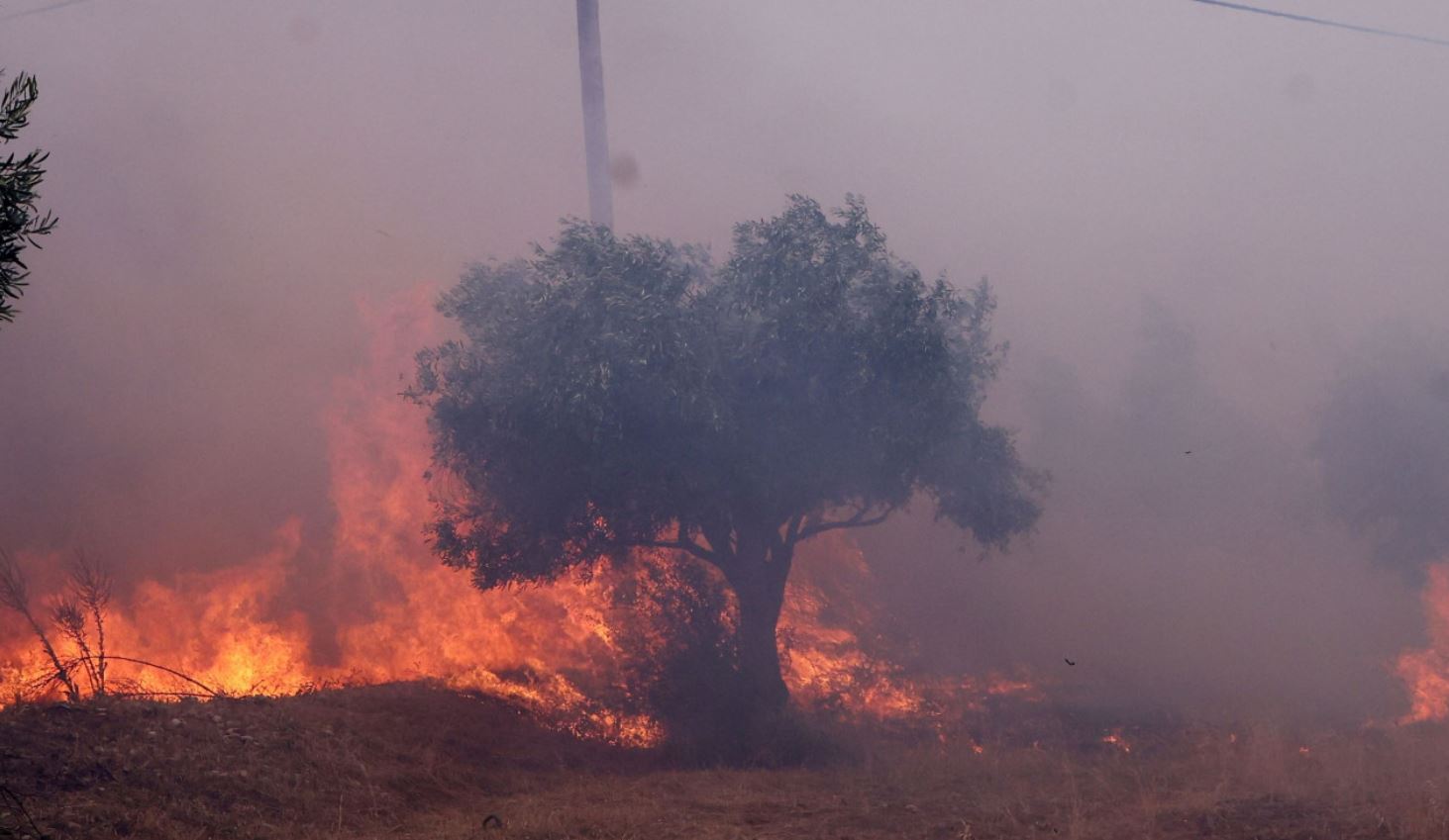 Πυρκαγιά στη Δυτική Αττική: Ήχησε το 112 – Εντολή εκκένωσης προς τα Μέγαρα