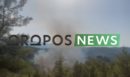Φωτιά στο Μαρκόπουλο Ωρωπού: Ήχησε το 112 - «Παραμείνετε σε ετοιμότητα»